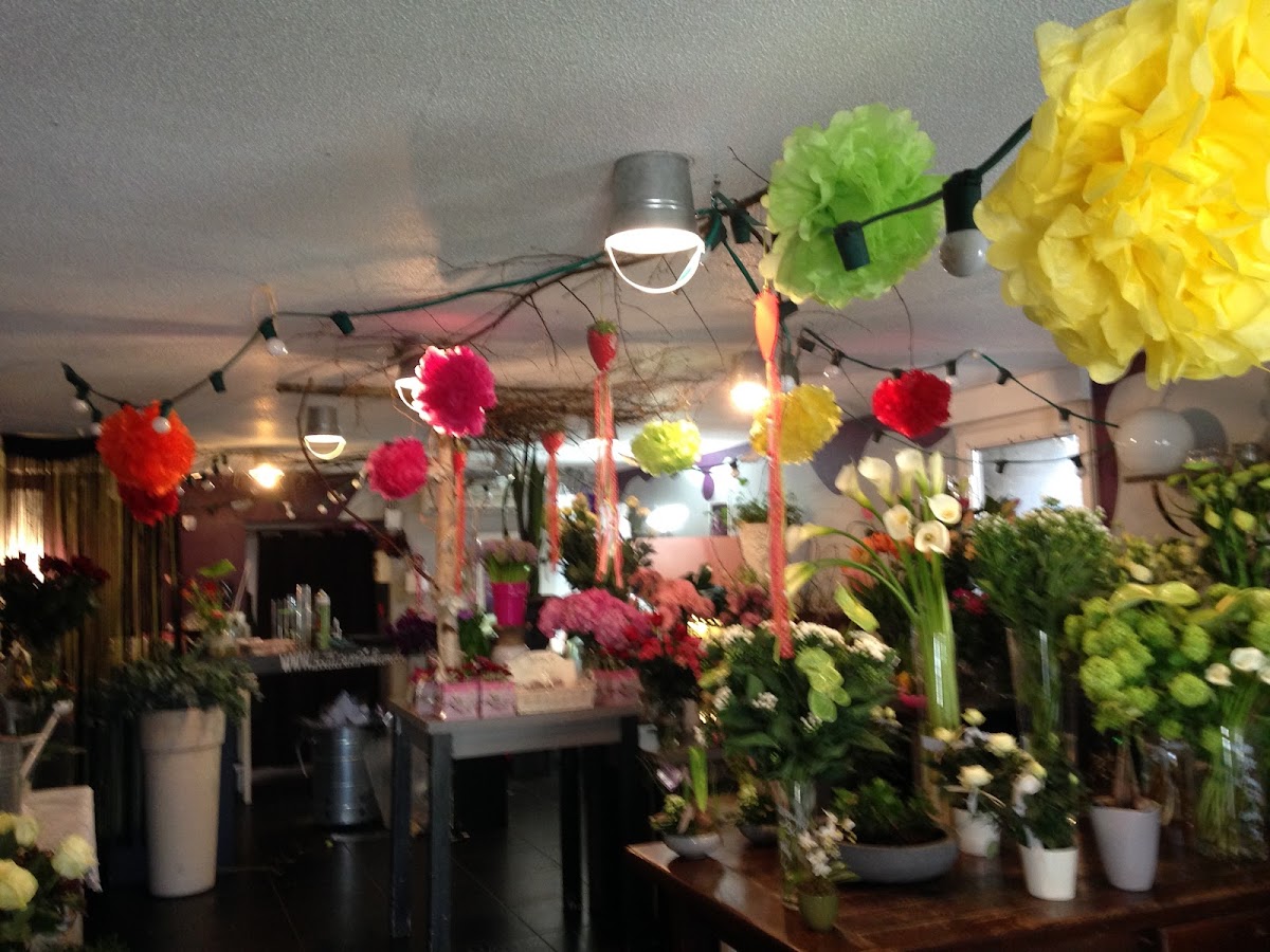 Boutique Pimprenelle - 5